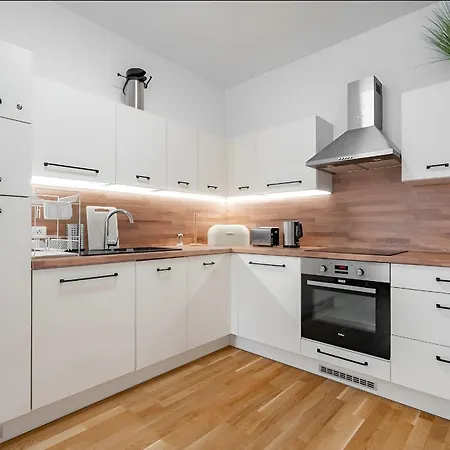 Apartman Horalka Destne v Orlickych horach Exterior photo